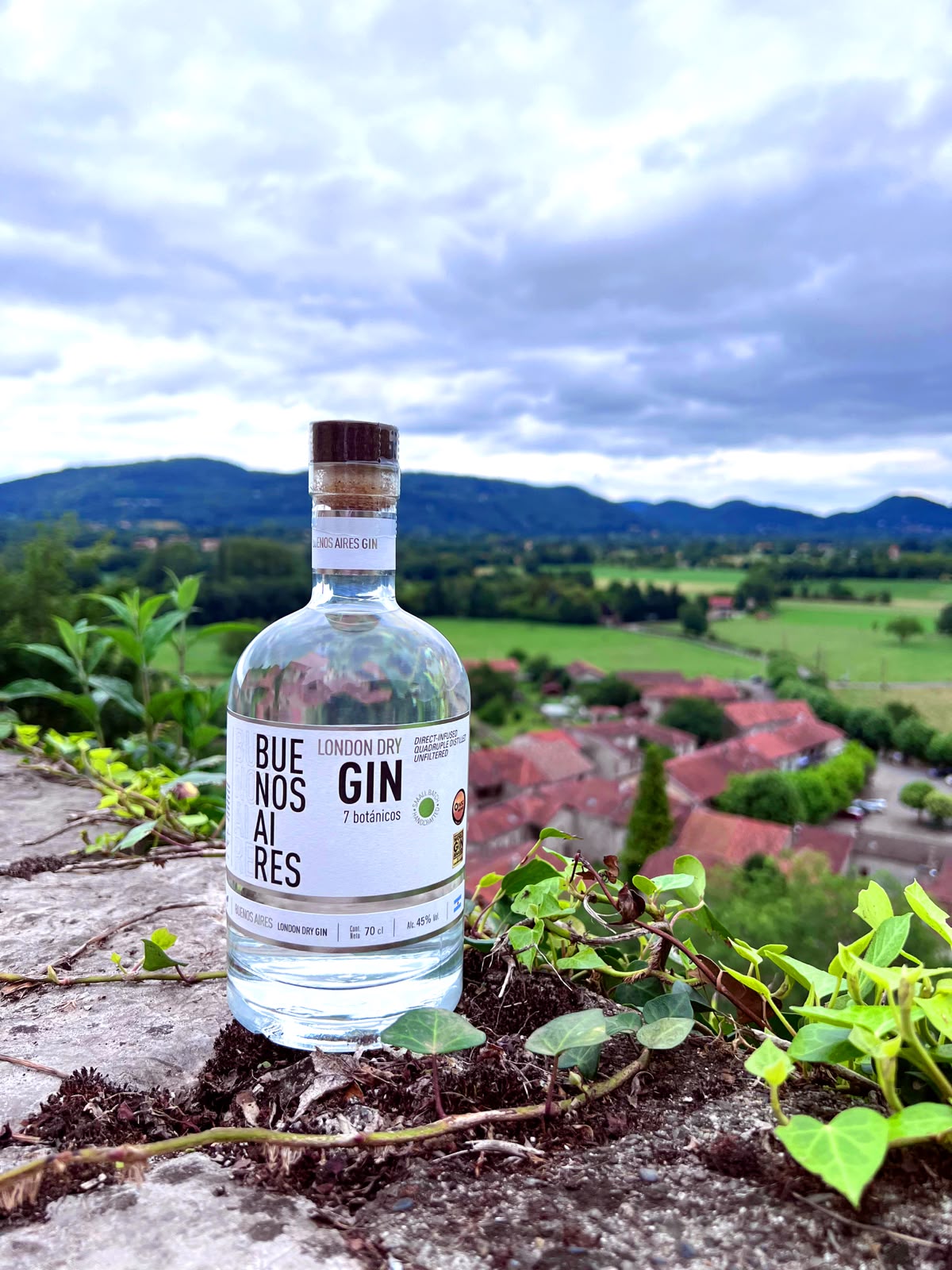 Buenos Aires Gin