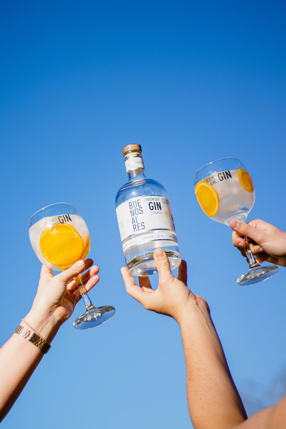 Buenos Aires Gin